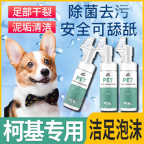 Kokie Special God Instrumental Pet Pooch-Free Wash-Free Foot Foam Deodorant Wash-Foot Liquid Anti-Dryness Foot Care