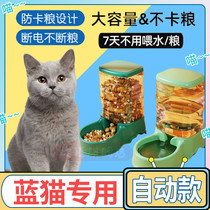 Blue and white English short blue cat special feeding pet kitty Automatic feeder drinking water integrated flow without plugging electrical supplies