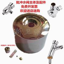 Special new batch hand flush urinal urinal flush valve toilet delay button spring water valve accessories toilet