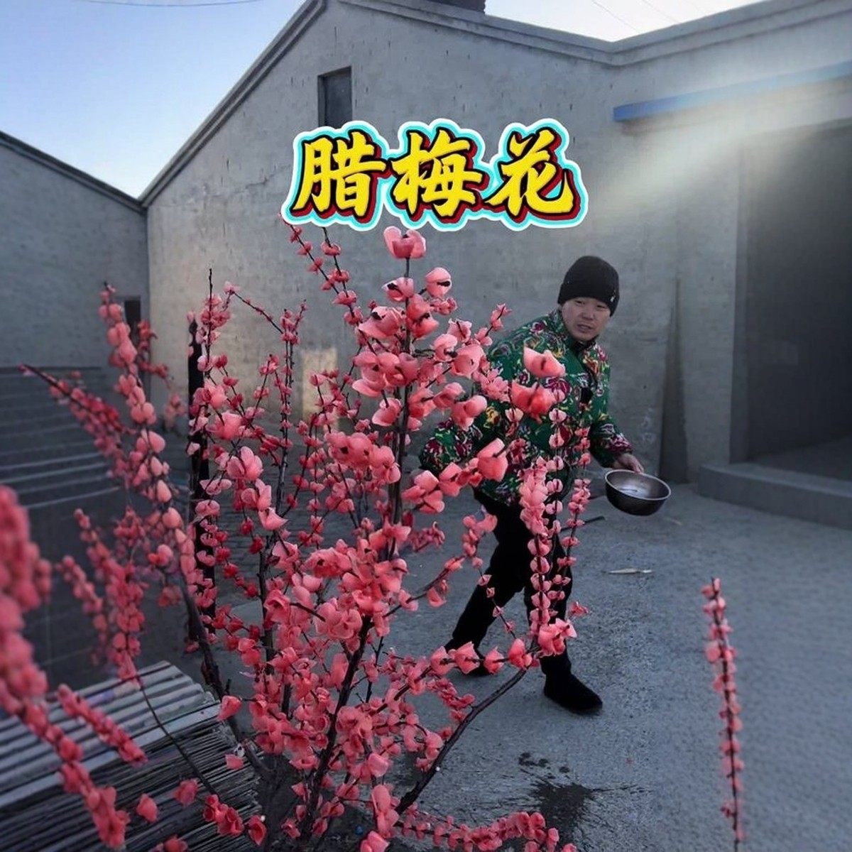 散装沙蜡包装套件工厂基于颗粒状可持续来源珍珠Diy棕榈蜡烛沙蜡用于婚礼装饰| Alibaba.com, image size:1200x1200