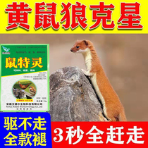 Exorcism of the Pheasant Wolf God (one smelling of the whole run) The drugmaker weaves the drug to drive the drug away from the Wolverine Wolverine.