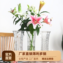 Simply large transparent glass vase rich bamboo lily plug vase home living room decoration
