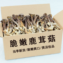 Antler Mushroom New Arrival 500g Shiitake Dried Goods Nutritional Mushroom Antler Mushroom Non-Special Wild Soup Ingredients Mushrooms