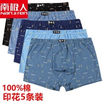 Antarctic cotton flat men underwear youth trend of pure cotton fatty and mid-waist four corners breathable underpants
