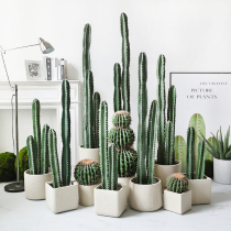 Nordic simulation fairy column measuring sky ruler potted fake green plant cactus tropical plant shop window decoration ornaments