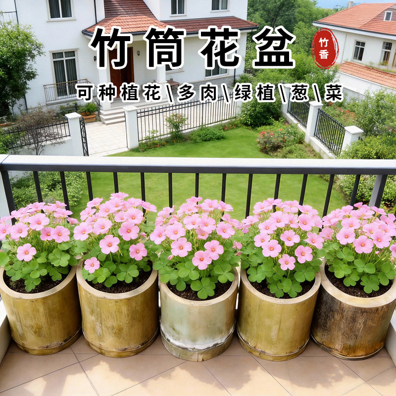 手工竹编花盆-手工竹编花盆促销价格、手工竹编花盆品牌- 淘宝
