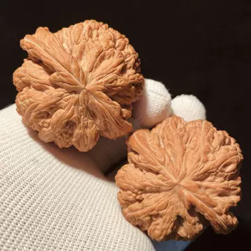 文玩核桃大粗筋-文玩核桃大粗筋促销价格、文玩核桃大粗筋品牌- 淘宝