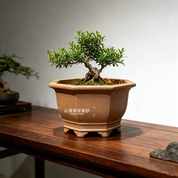 八方紫砂花盆 多肉植物鉢 紫砂鉢 盆栽鉢 植木鉢 小品盆栽鉢 大品盆栽鉢 八方紫砂花盆 多肉植物鉢 紫砂鉢 盆栽鉢 植木鉢 小品盆栽鉢 大品盆栽鉢