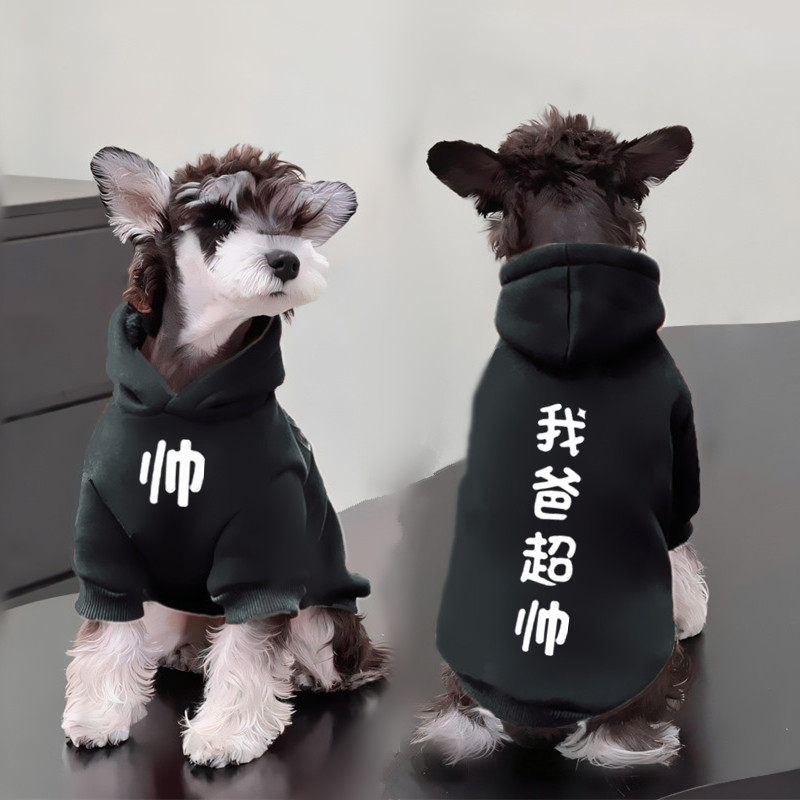 2025年网红哈利波特宠物衣服怎么选？猫咪小狗狗万圣节cosplay服装魔法