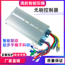 Yongsheng electric tricycle controller battery four-wheeler universal high-power brushless permanent magnet DC controller