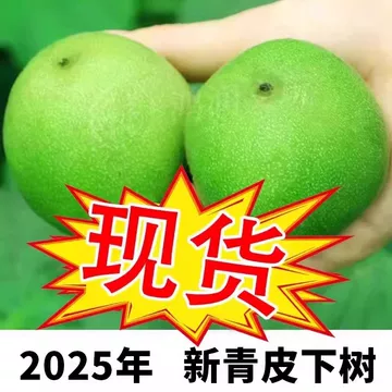 闷尖白狮子头-闷尖白狮子头促销价格、闷尖白狮子头品牌- 淘宝