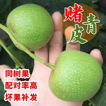 蛤蟆头核桃-蛤蟆头核桃促销价格、蛤蟆头核桃品牌- 淘宝