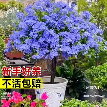 太湖石摆件-太湖石摆件促销价格、太湖石摆件品牌- 淘宝