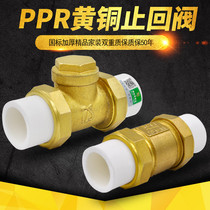 PPR check valve brass horizontal vertical check valve check valve background soft bag big bass stirring