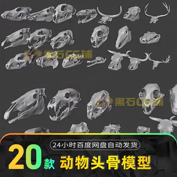 骨头3d模型-骨头3d模型促销价格、骨头3d模型品牌- 淘宝