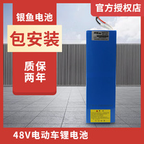 Chaowei Electric Vehicle Lithium Battery 36v48v10ah12ah Big Fish Emma Yadi Tram General Silverfish Lithium Battery