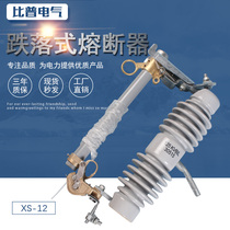10-35kV drop fuse RW10 RW12-15KV outdoor high voltage ceramic drop switch insurance