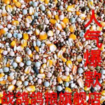 Battle pigeon A- Class pigeon grain with corn nutrition flying feed Saixin ornamental meat pigeon grain bird food 50kg