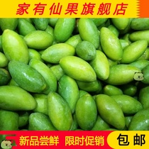 Fine fresh green olive fruit Fujian raw olive raw fruit Minqing Sandalwood olive green fruit 500g bag
