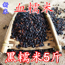  New black rice Black brown rice Black glutinous rice Blood glutinous rice Northeast farmer black glutinous rice dumplings rice purple glutinous sticky rice wine
