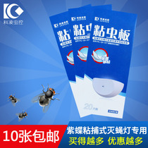 Purple butterfly sticky worm board hot sale 1 piece of trap fly lamp restaurant special sticky fly paper sheet 10 sheets