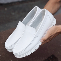 Leather doctor work shoes mens white nurse shoes leather shoes Bean shoes soft sole driving single shoes Korean version Lazy Man feet