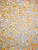 Pigeon meat pigeon special grain corn 50% pea 30% pellet feed 20% 5kg 22 yuan