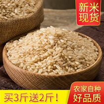 Northeast brown rice 2021 new rice grains sugar-free fitness fat reduction germ rice coarse grain low fat substitute brown rice