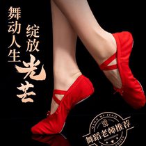 Dance Shoes Children Girl Soft-bottom Exercises Cat Paw Male And Female Children Winter Professional Dancing Shoes Red Black Body Chinese Ballet