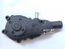 Fujian Longxi two-cylinder agricultural machinery Lijia SL2115 2110 2105 2118 2100 twin-cylinder diesel engine water pump