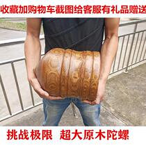 Medium Aged Fitness Solid Wood Sophori Wood Top Toy Ice Monkey Ice Gaga Wood Old Bull Children Adult Send Whip and Whip Rope
