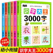 Children's Literacy King 3000 Words Preschool Literacy Early Childhood Education Enlightenment Baby Look at the Picture Recognition Book Artifact Kindergarten Large Class First Grade Children Simple Chinese Characters Textbook