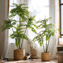 Shuhan large-scale simulation plant toon tree fake green plant bonsai decoration indoor living room Nordic bionic window decoration