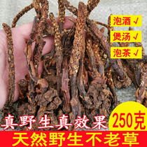 New goods wild not old grass soaking wine materials Chinese herbal medicine Cistanche deserticola rishnia Tea 250 grams male supplement Spring