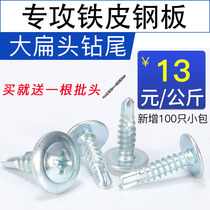 National standard large flat head drill tail screw self-tapping self-drilling dovetail screw screw large round head Huaus screw M4 2