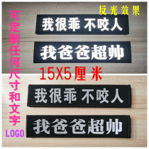 Custom Pet Pooch Chest Back Reflective Magic Sticker Luminated Character Side Sign Big Small Dog Vest Famous post