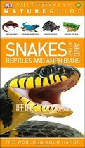 DK Snakes and Other Reptiles electronic book light