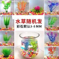 Simulation of aquatic grass landscape fish tank decoration aquarium plastic fake water grass turtle grass prospect small ornaments five-flowered Stone