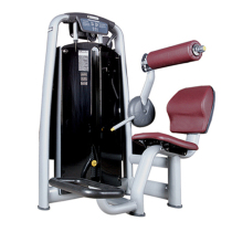 Wei bu wellBu6006 Commercial sitting back flexion and extension muscle exercise strength training equipment