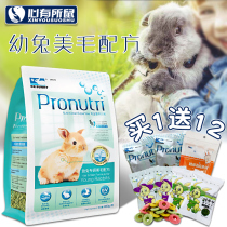 DR Bunny Rabbit doctor Beauty Hair baby rabbit food rabbit feed rabbit food staple food staple food 900g