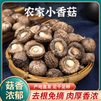 Small shiitake mushrooms dry goods 500g selected rootless shiitake mushrooms new goods mushroom edible mushroom money mushroom household soup dried shiitake mushrooms