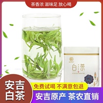 Try to drink Anji white tea special grade 2021 new tea rare alpine rations green tea before rain bulk tea 125g