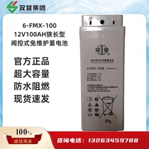 Shuangdeng Long Type Battery 6-FMX-100 12V100AH Maintenance-Free Valve-Controlled Ship UPS Power Supply