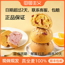 Idyllic sugar-free refined oil-free whole wheat bread whole grains low-fat food saturated whole grains breakfast meal replacement European package