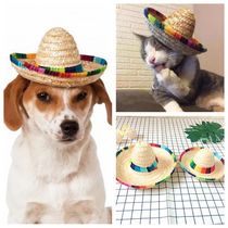 Pet hat Mexican straw hat pet clothing accessories cat and dog photo photo photo tremolo artifact
