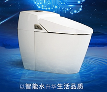 Olusha Intelligent Toilet OLS-JR611