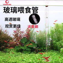 American Vauvelang fish tank feeding tube crystal shrimp glass acrylic plump shrimp ornamental fish shrimp feeder ring