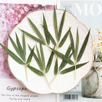 Bamboo branches bamboo leaves dry flower bookmarks pressed flowers embossed drops aromatherapy wax wax flakes bar cocktails creative decorations