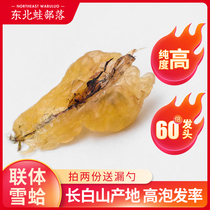 Snow Clam oil Changbai Mountain forest frog oil Toad oil Snow clam cream stewed snow clam dried goods gift box 30g