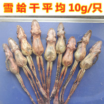 Snow clam dry whole Changbaishan specialty forest frog dry snow clam oil-footed dry toad dry new goods